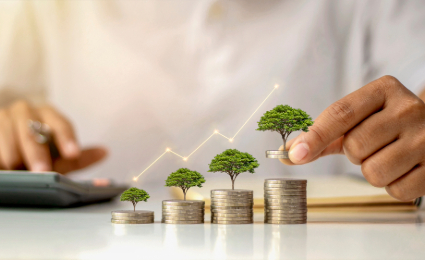 Treasury Management and Raising Finance