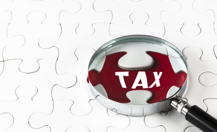 Tax Investigations and Queries